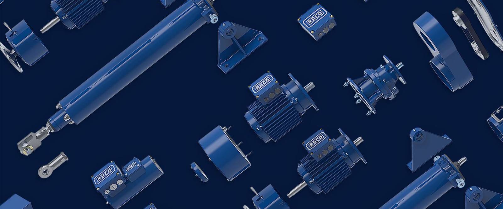 RACO facility and international operations